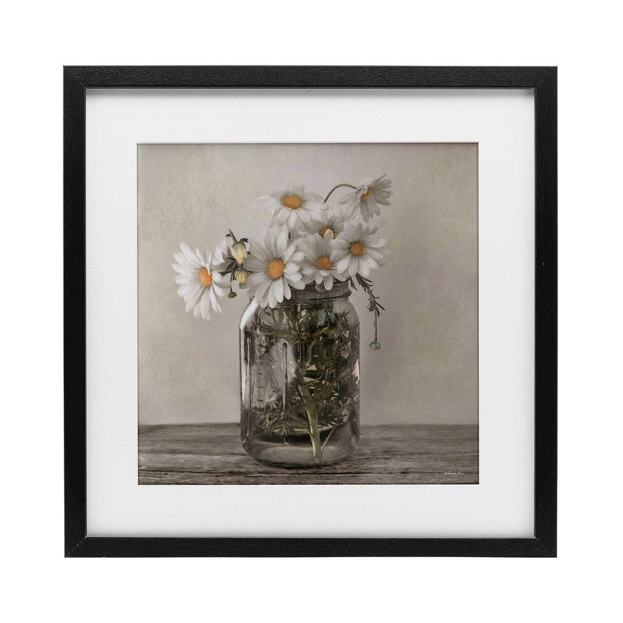 Stupell Industries Joy In A Jar Daisies Framed Print Under Glass, design by Robin-Lee Viera